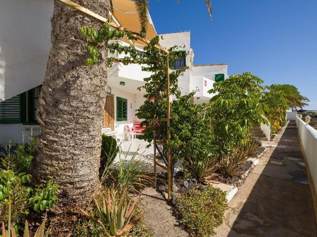 Apartamento Nire Lula En La Misma Playa El Cotillo  Екстер'єр фото